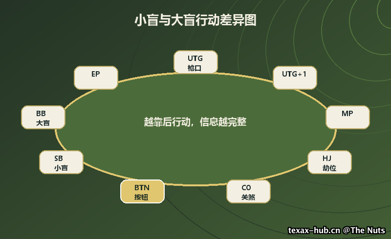 小盲与大盲行动差异图